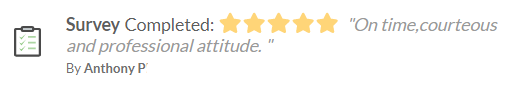 Anthonly P. Website Review.png