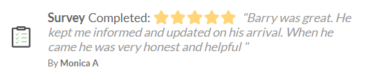 Monica A. Website Review.png